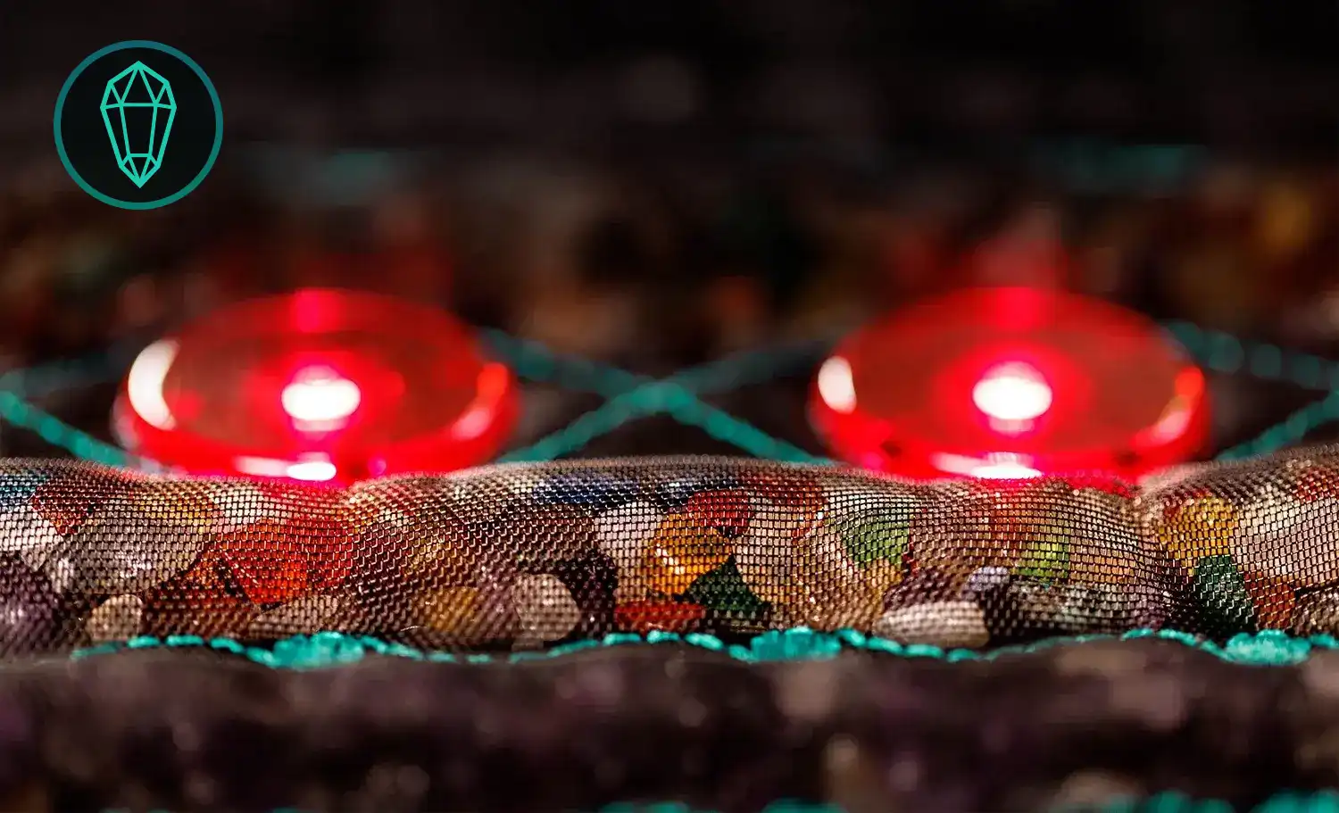 Frequenzmatte-1.webp?v=1745392440