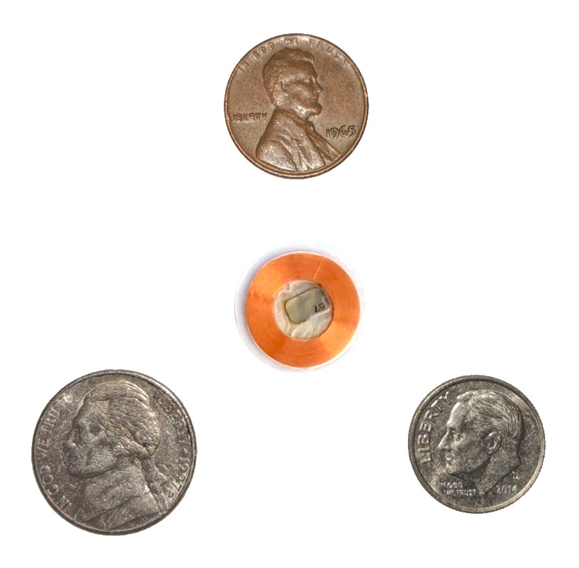 flexEM T5577 Implant